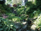 DSC08206.JPG